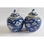 Two small Chinese porcelain ginger jars and covers the blue ground with prunus decoration and one