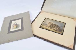 A folder containing a print entitled Puss Napping by George Baxter in original mount, the print