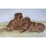 Christine Fawcett (British, 20th century), Spaniels, watercolour, signed and dated 1984, 7x11ins,