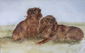 Christine Fawcett (British, 20th century), Spaniels, watercolour, signed and dated 1984, 7x11ins,