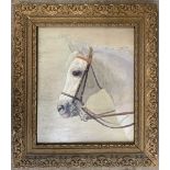 British School, 20th century, side profile study of a horse head, oil on canvas, 13x16ins, framed.