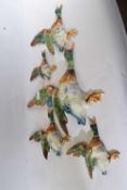 A collection of pottery flying ducks, the largest marked Royal Ducks others marked Made in