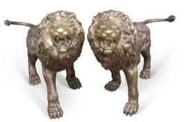 A pair of large modern bronzed metal lions, 147cm long, 105cm high