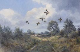 Colin W Burns (British, B.1944) "Grey partridge over a ride" signed Colin W Burns lower left. Oil on