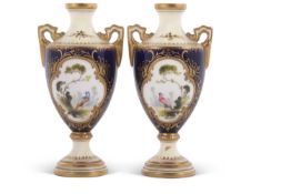 Two early 20th Century Coalport porcelain vases painted with birds, signed by F Howard