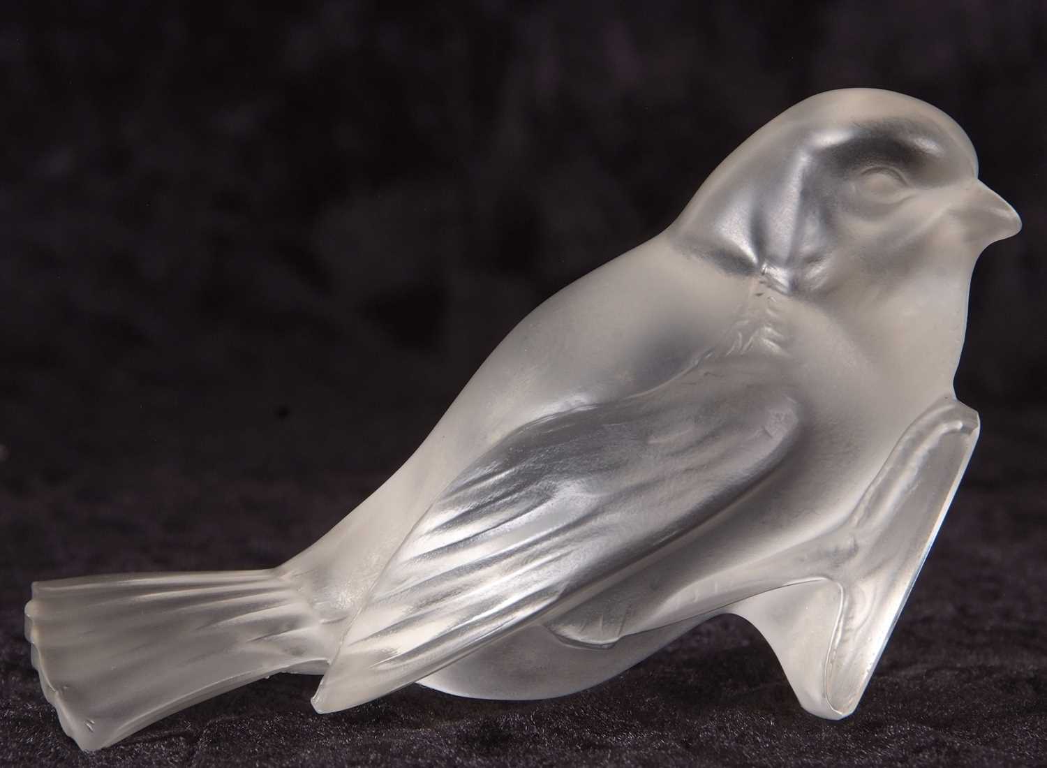 Renee Lalique model of a fledgling engraved mark to base, 13cm high - Image 12 of 12