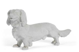 Meissen porcelain Blanc-de-Chine model of a long haired Dachshund