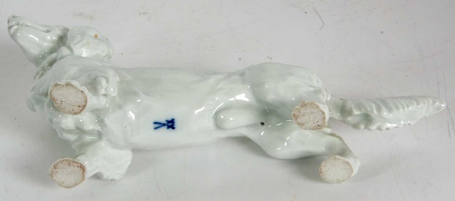 Meissen porcelain Blanc-de-Chine model of a long haired Dachshund - Image 7 of 7