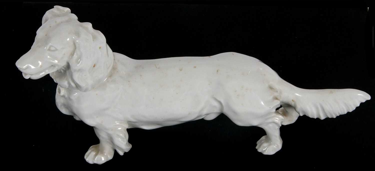 Meissen porcelain Blanc-de-Chine model of a long haired Dachshund - Image 2 of 7