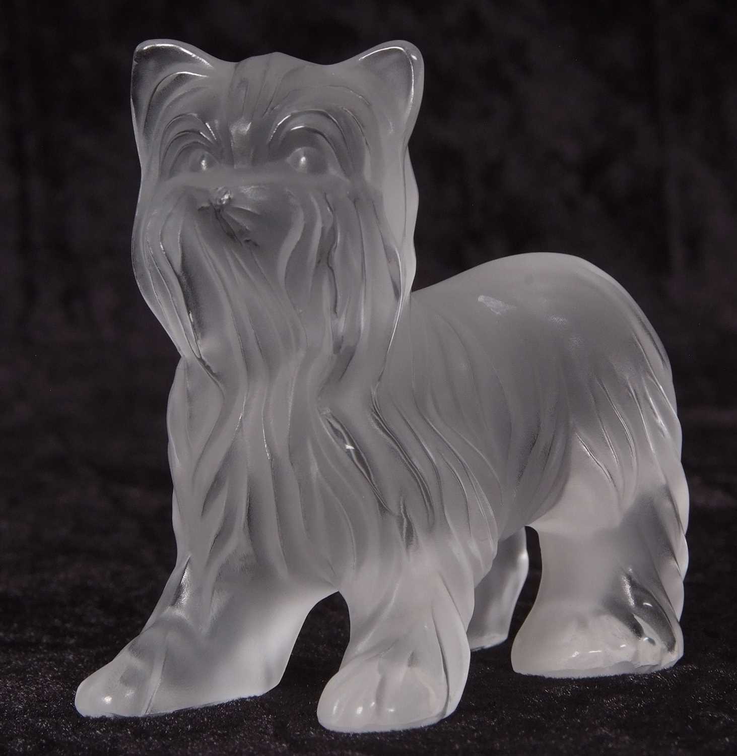 A Lalique frosted glass model of a Yorkshire Terrier, 9cm long - Image 5 of 5