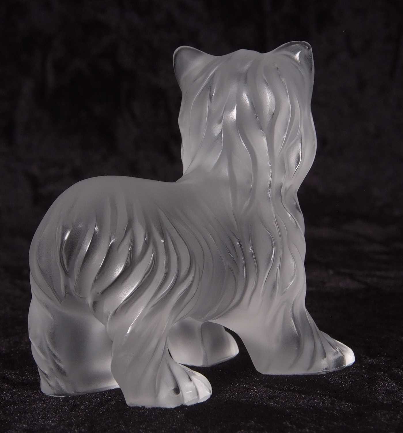 A Lalique frosted glass model of a Yorkshire Terrier, 9cm long - Image 2 of 5