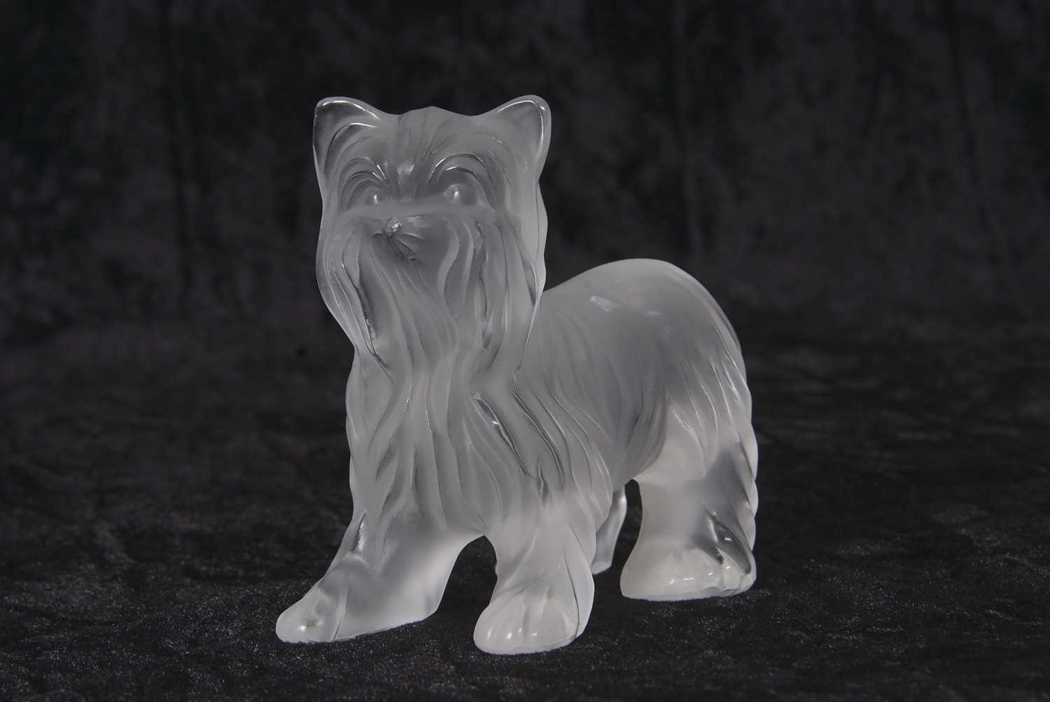 A Lalique frosted glass model of a Yorkshire Terrier, 9cm long
