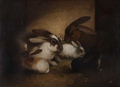 European School, circa 19th century, a pair of rabbits with a trio of kits, oil on canvas, unsigned,