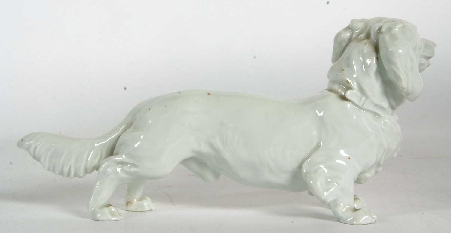 Meissen porcelain Blanc-de-Chine model of a long haired Dachshund - Image 5 of 7