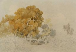 Attributed to John Joseph Cotman (British,1814-1878), Unfinished rural scene study pencil and