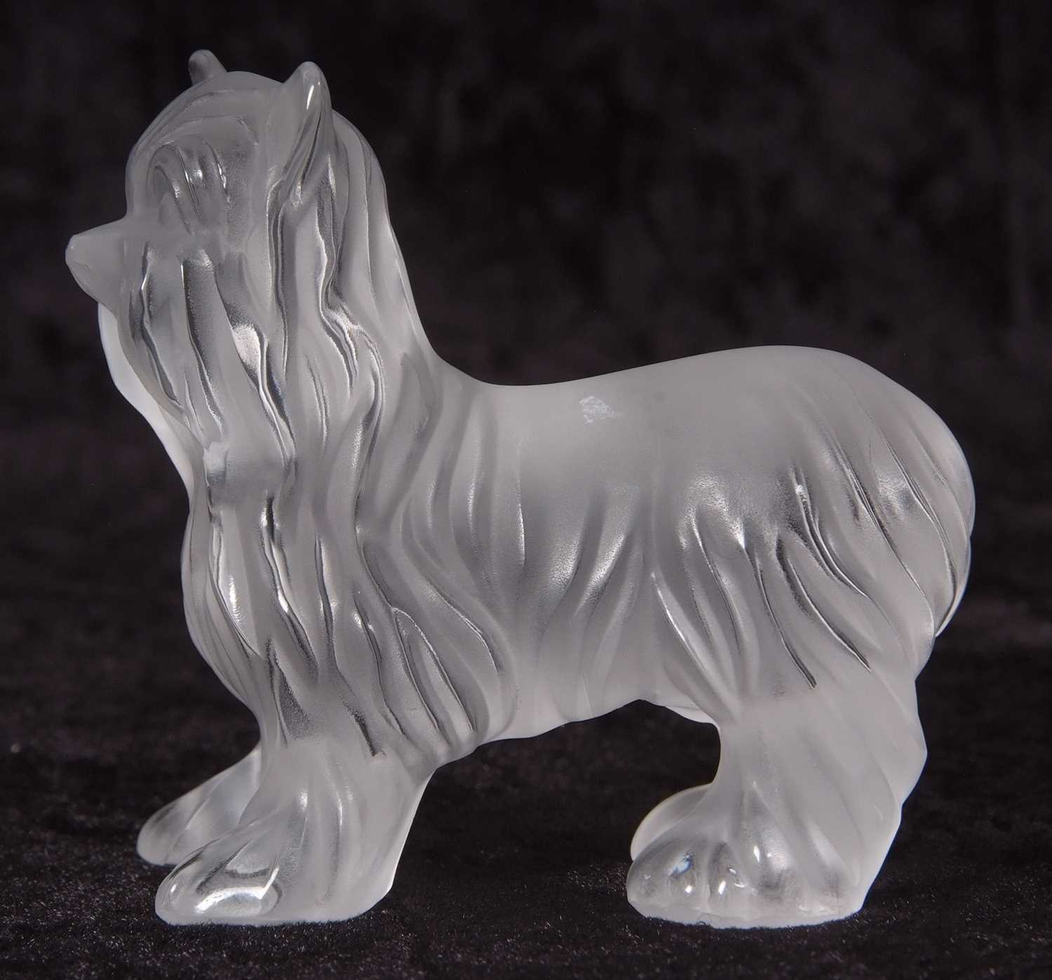 A Lalique frosted glass model of a Yorkshire Terrier, 9cm long - Image 4 of 5