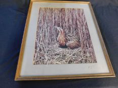 Eric Hosking, coloured photograph Bittern on Nest, signed on the mount, approx 470 x 370mm, framed