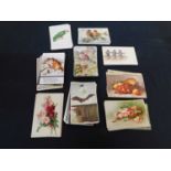 Packet - Circa 120 assorted picture postcards including birds, cats, horses, dogs, flowers, fruit,