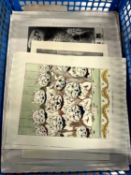 One box of assorted plates, including Louis Wain, also noted some original art work (unsorted)