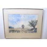 Clifford John (British, b.1934), 'Horse Fen, Ludham', watercolour, signed, member of Great