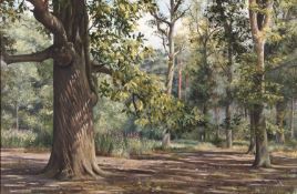 Peter Barker RSMA (British b.1954), 'Sandringham Woods', oil on canvas, dated 1994 on verso, signed,