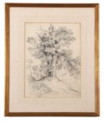 Miles Edmund Cotman (British,1810-1858), Oak tree pencil study on paper, signed and inscribed '