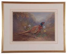 Raymond Watson (British, 1935-94), "Ringed neck Pheasant", gouache on paper, signed lower right,