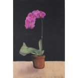 Nick Swanson, 20th/21st Century, Orchid still life, Oil on canvas, signed lower right, 30" x 20"Qty: