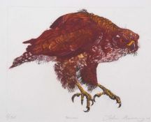 Jake Manning (British, contemporary) "Buzzard" limited edtion screenprint in colours, numbered 6/