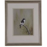 Bryan Reed (British, contemporary), Pied flycatcher perched on a branch, signed, 8x6ins, framed