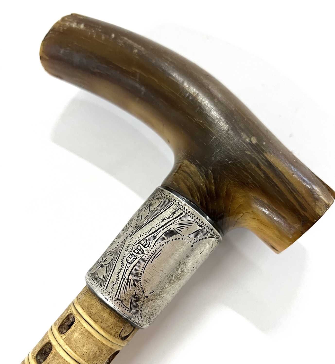 Early 20th Century shark vertebrae walking stick with horn handle and silver band, hallmarked - Image 5 of 9