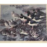 After Charles Frederick Tunnicliffe (1901-1979), 'At low tide - Waders', limited edition lithograph,