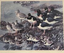 After Charles Frederick Tunnicliffe (1901-1979), 'At low tide - Waders', limited edition lithograph,