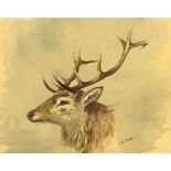 Charles Stanley Todd (British,1923-2004), a study of a deer stag head, pencil, watercolour and