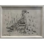 John Busby RSA (Scottish, b.1928), 'Stone Curlew', graphite and watercolour, signed and initialed,