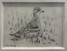 John Busby RSA (Scottish, b.1928), 'Stone Curlew', graphite and watercolour, signed and initialed,