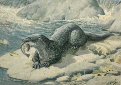 After Charles Frederick Tunnicliffe (1901-1979), Otter feeding on a fish, limited edition