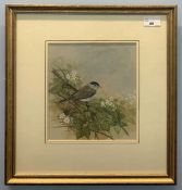 Jenny M. Haylett (British), watercolour and gouache, signed, 8x8.5ins, framed and glazed.