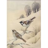 Andrew Osborne (British), a pair of Sparrows in a winter landscape, watercolour, signed, 9x12.