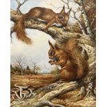 Carl Donner (British, b.1957) a pair of red squirrels, watercolour, signed, 9x12.5ins, framed and