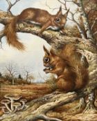 Carl Donner (British, b.1957) a pair of red squirrels, watercolour, signed, 9x12.5ins, framed and