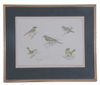 Richard Allan Richardson (British, 20th century), Assortment of garden birds, limited edition, 103/