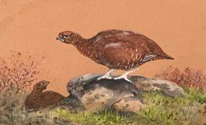 Charles Stanley Todd (British,1923-2004), a pair of red grouse, watercolour and gouache on paper,