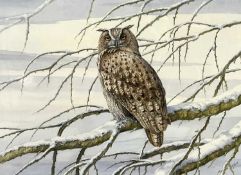 Brian Bedford (British, 20th century), Eagle Owl, watercolour, signed, approx. 20x26.5ins, framed