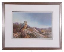 Raymond C. Watson (British, 1935-1994), Merlin, watercolour, signed. 13x21