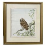 Andrew Osborne (British, 20th century), owl watercolour, signed, 13.5x17ins, framed and glazed.