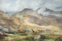Charles Stanley Todd (British,1923-2004), Highland red deer, watercolour on paper, signed, framed,