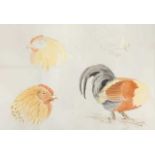 Charles Stanley Todd (British,1923-2004), a hen study in four varying anatomical profiles,
