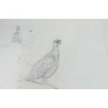 Charles Stanley Todd (British,1923-2004), a pair of grouse studies, varying observed poses, pencil