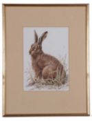 John Last (British contemporary), Seated hare, watercolour, signed, 10x7ins, framed and glazed